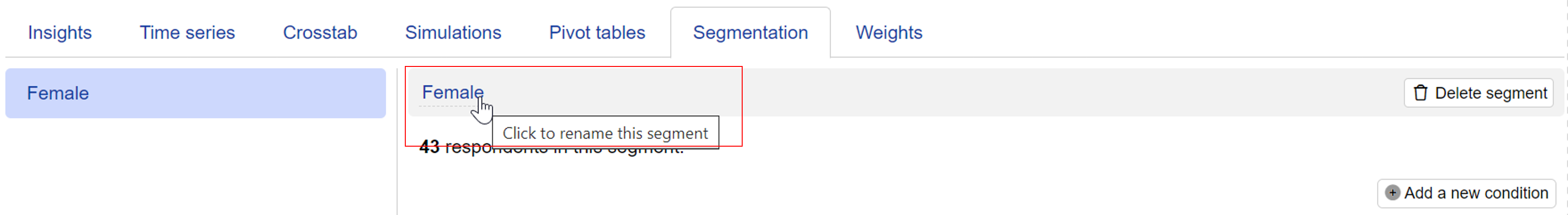 Naming a segment on Conjointly's platform